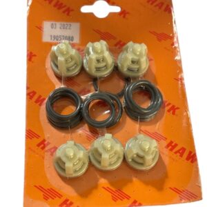 Supape HAWK set